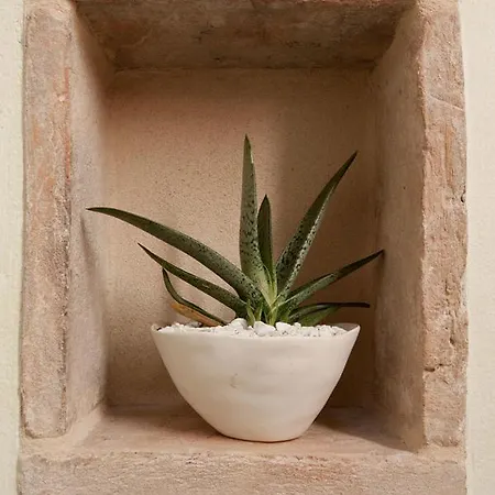 Residenza I Platani * SantʼArcangelo di Romagna