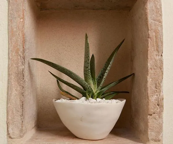 Residenza I Platani * SantʼArcangelo di Romagna